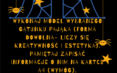 Konkurs – Kreatywny pająk
